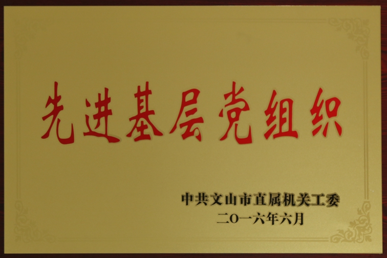 先進(jìn)基層黨組織